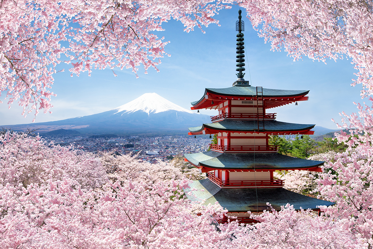 Mont Fuji, temple et cerisiers
