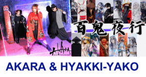 AKARA&HYAKKI-YAKO