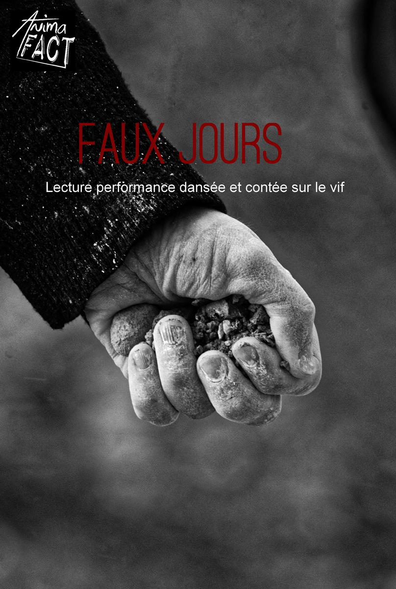 FAUX JOURS poster