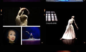 collage de scènes de spectacle