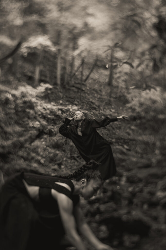 scène dans la forêt
